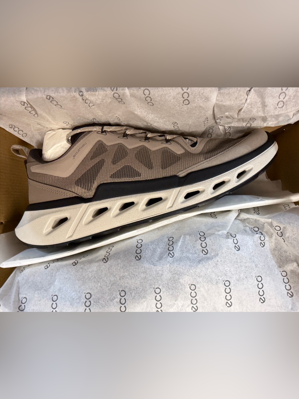 Ecco BIOM 720 Men's Sneaker